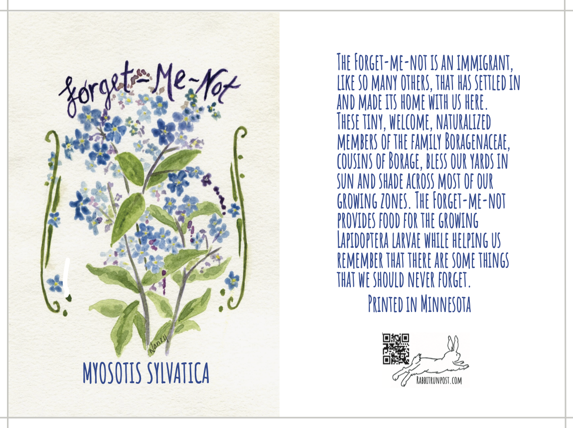 Forget Me Not Seed Packet