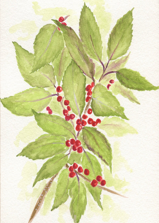 Winterberry