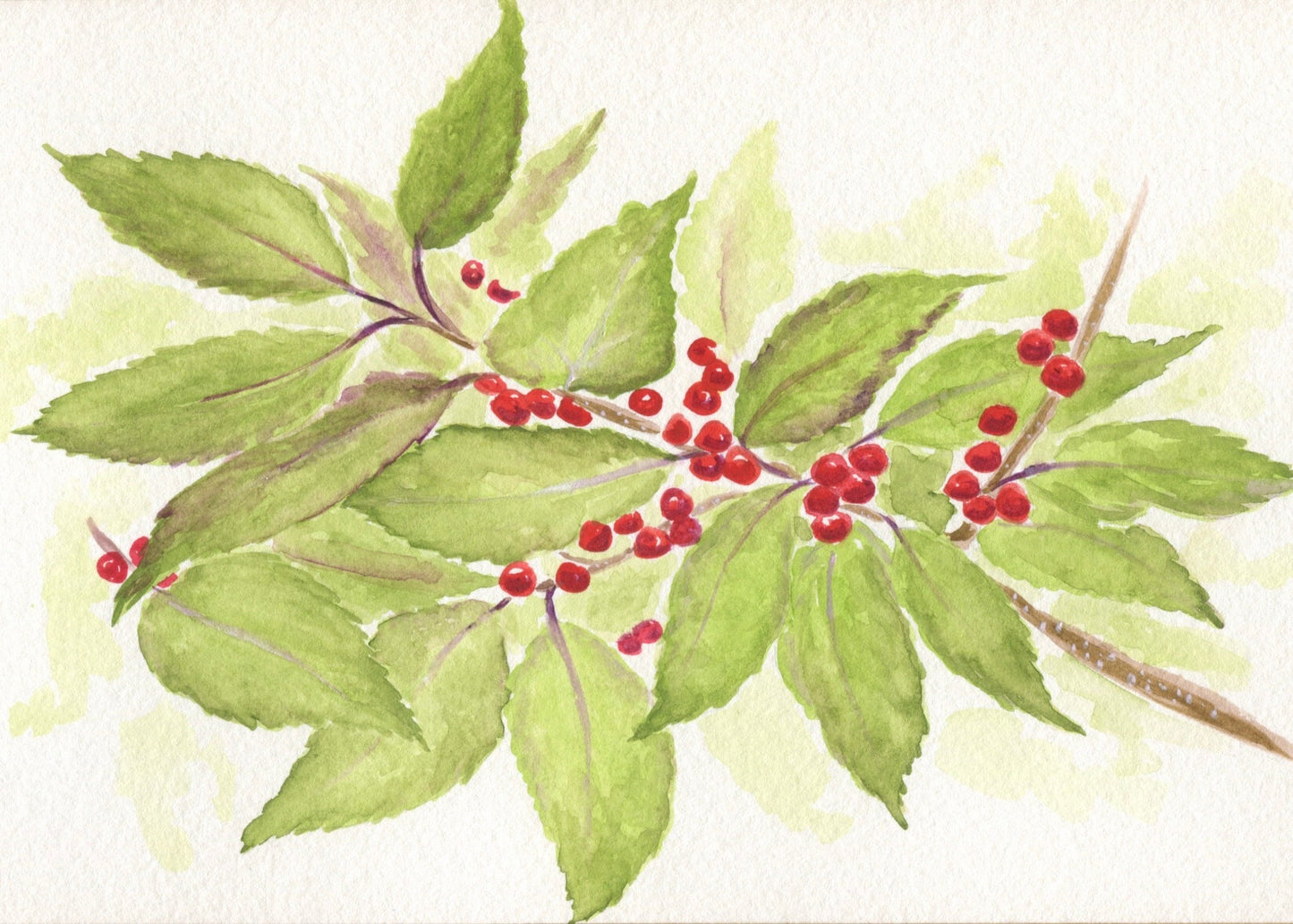Winterberry