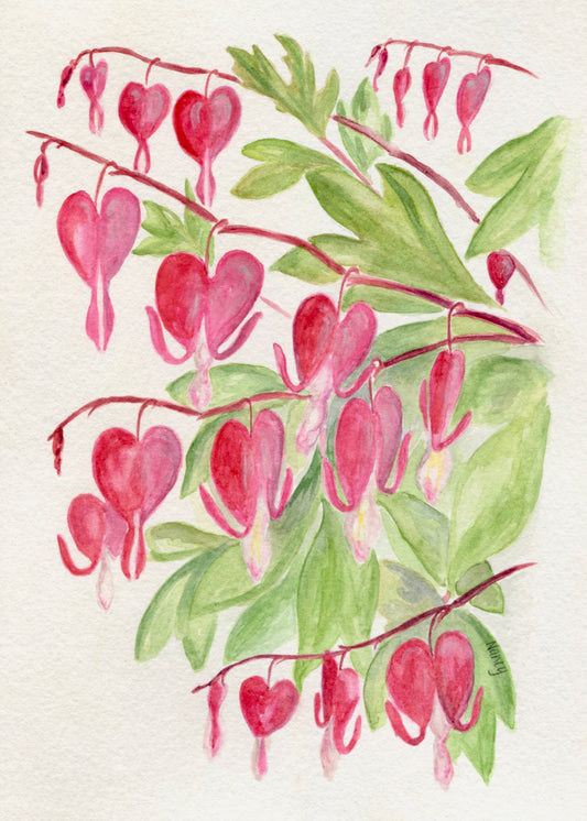 Bleeding Hearts
