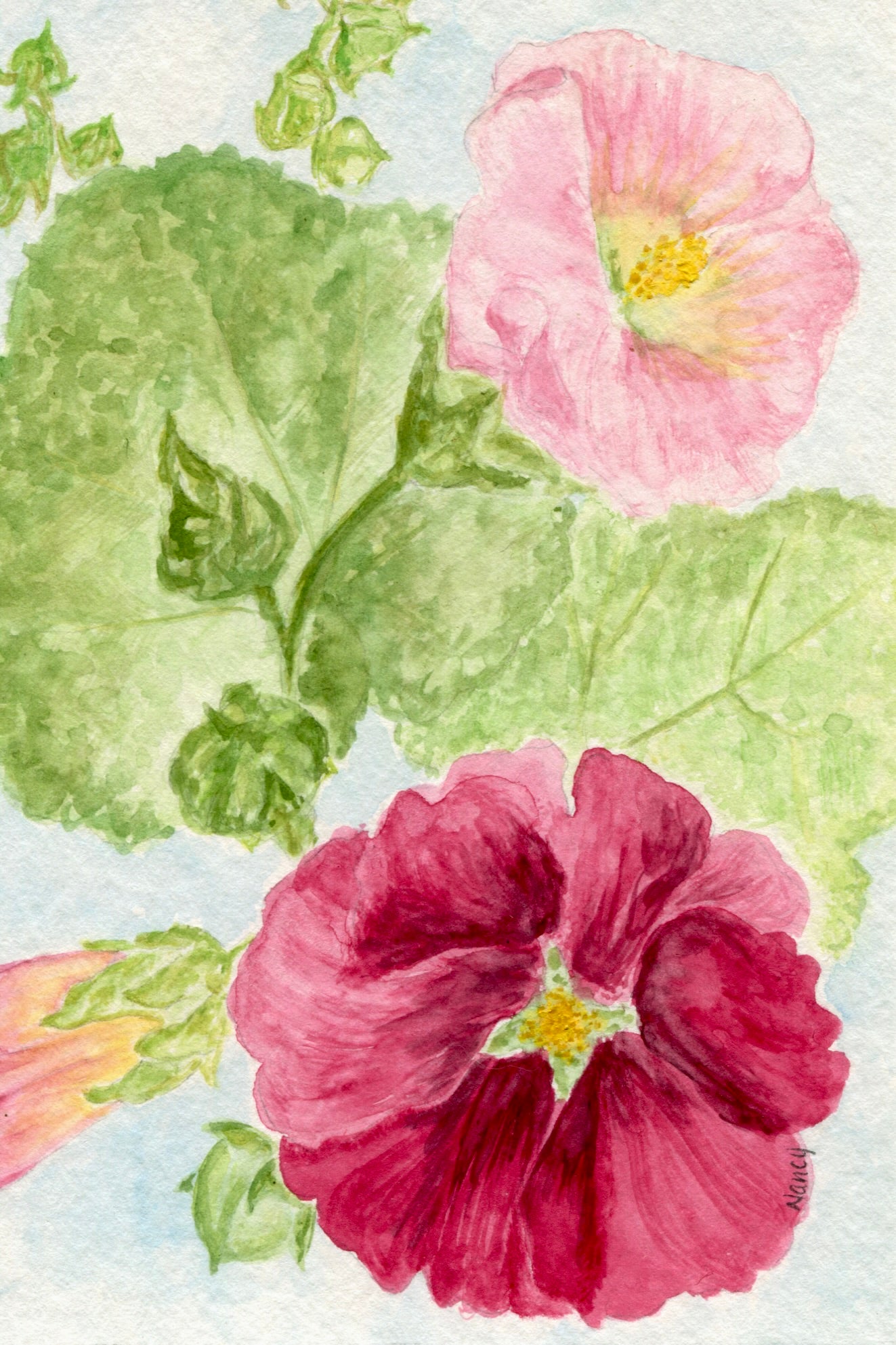 Hollyhocks