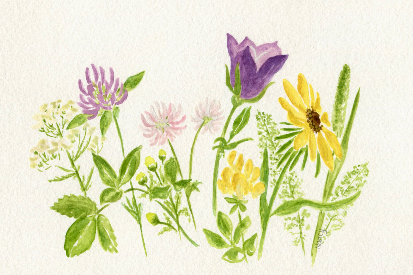 Field Flowers