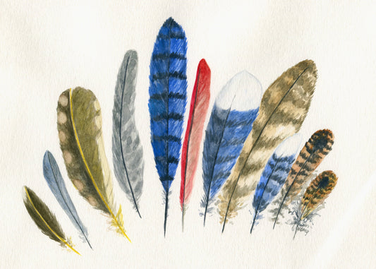 Wild Feathers
