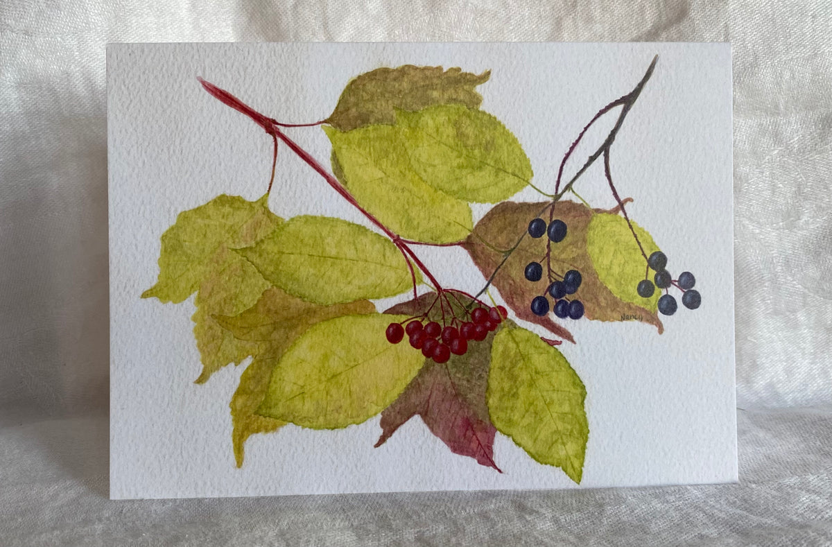 Autumn Fruits