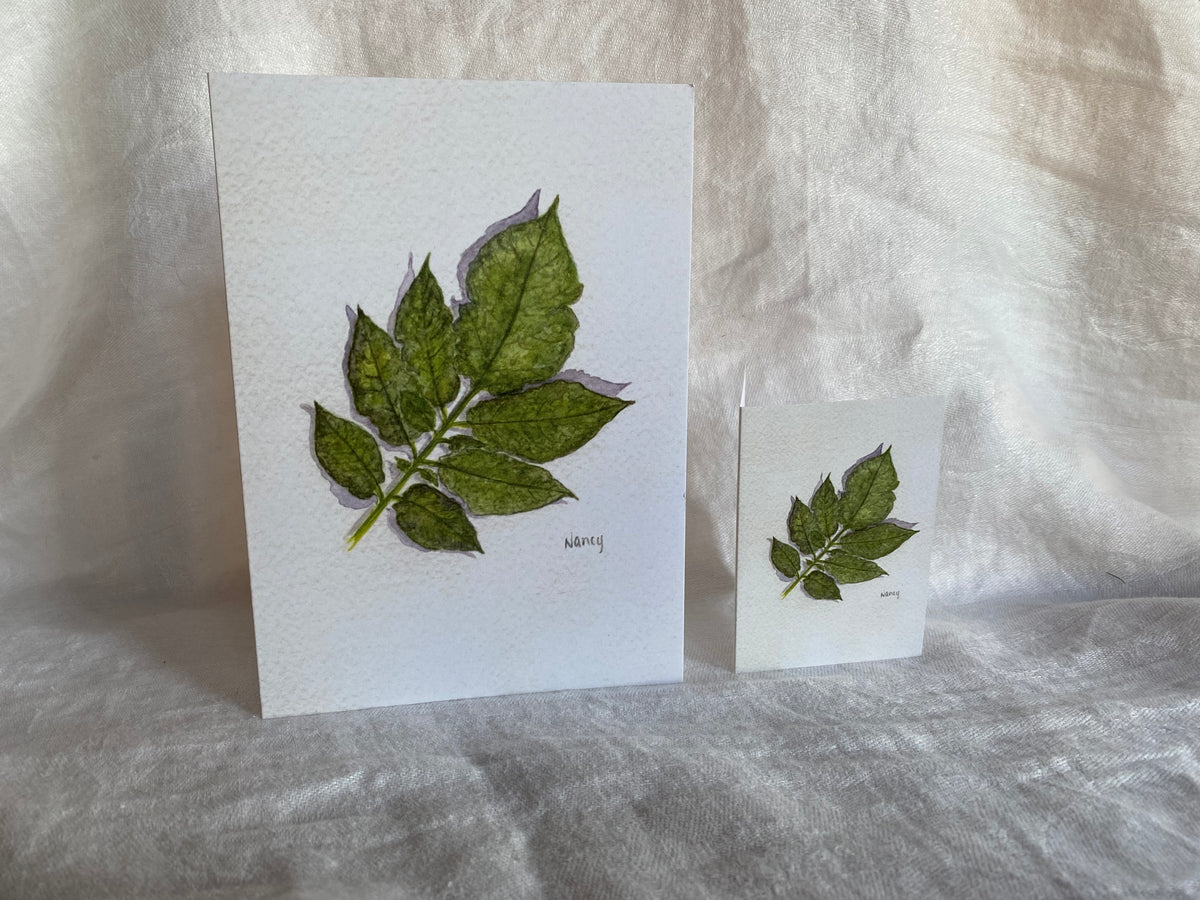 Potato Leaves