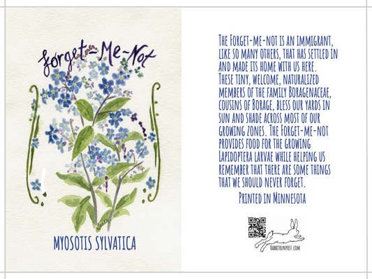 Forget Me Not Seed Packet