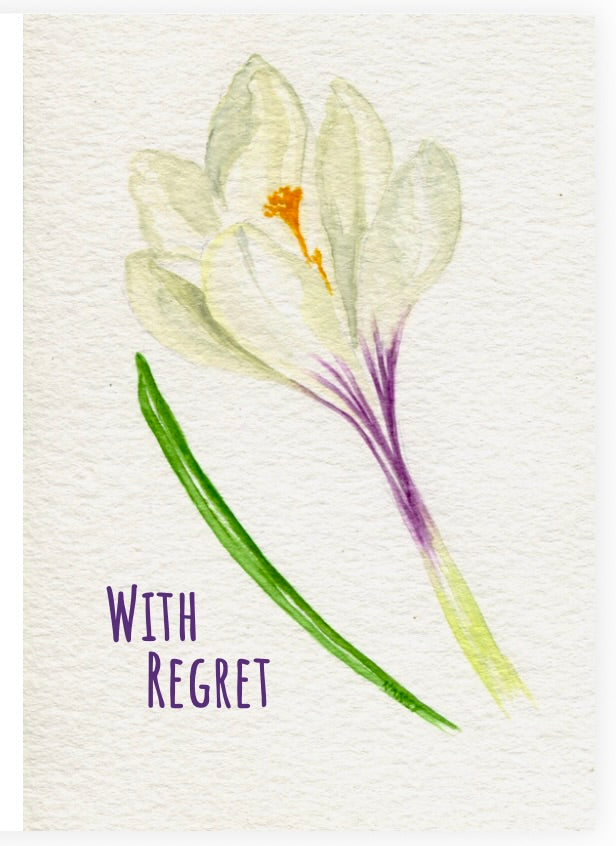 crocus regret