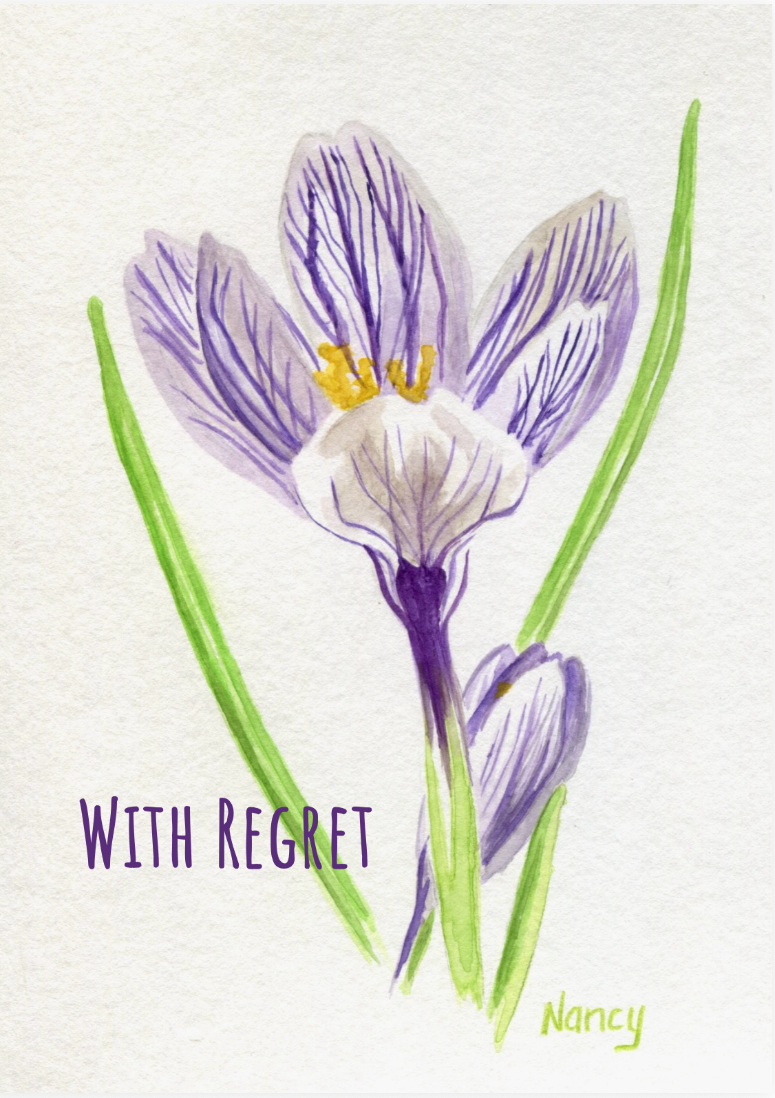 crocus regret