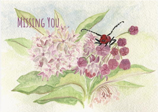 milkweed beetle missing you