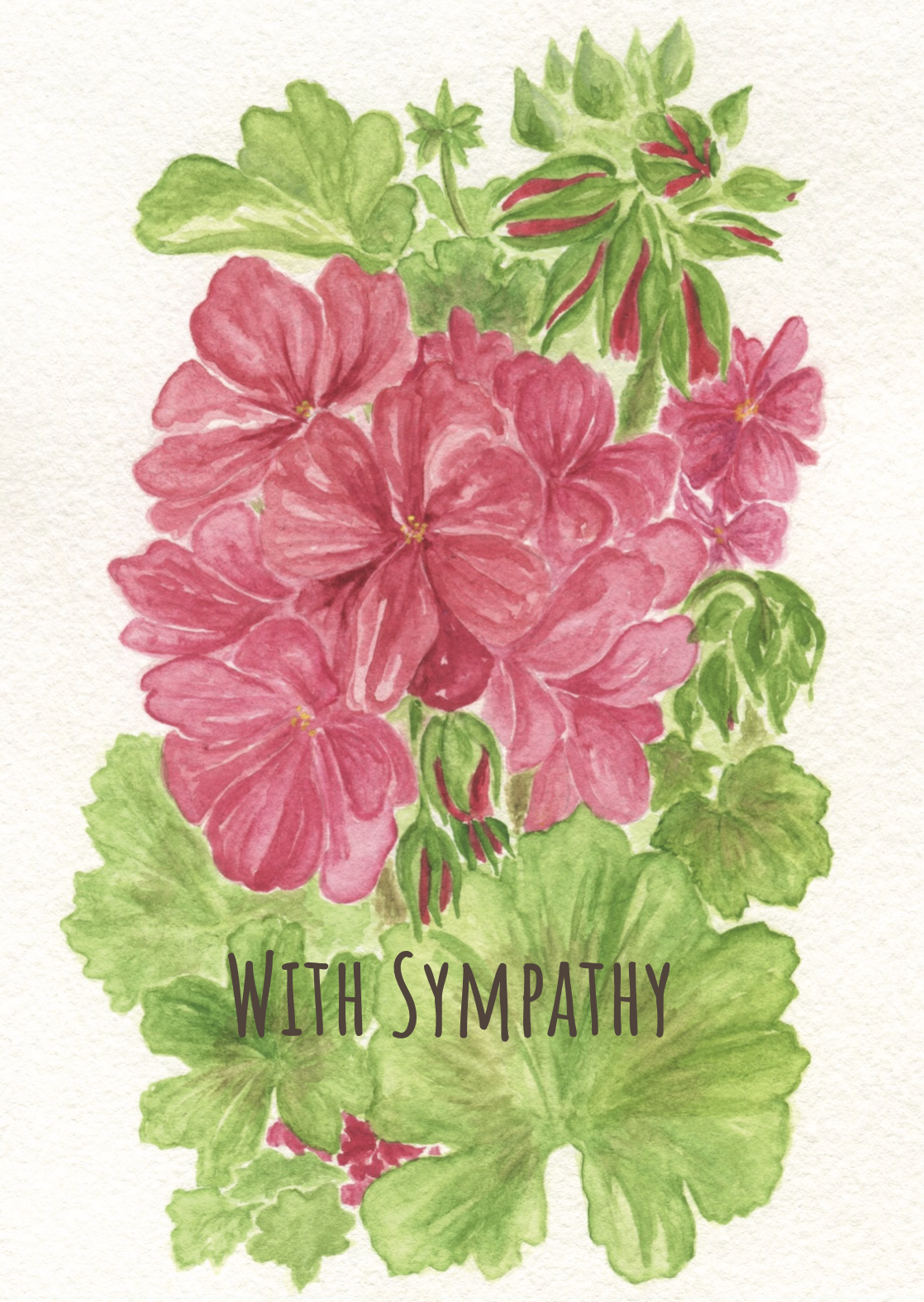 geranium sympathy