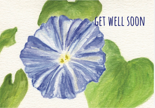 morning glory get well
