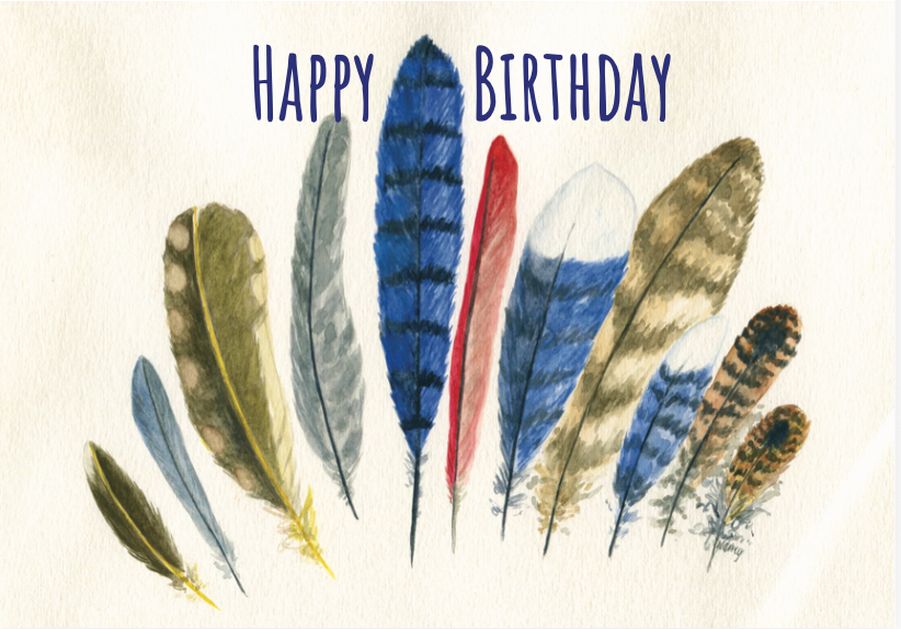 wild feathers happy birthday