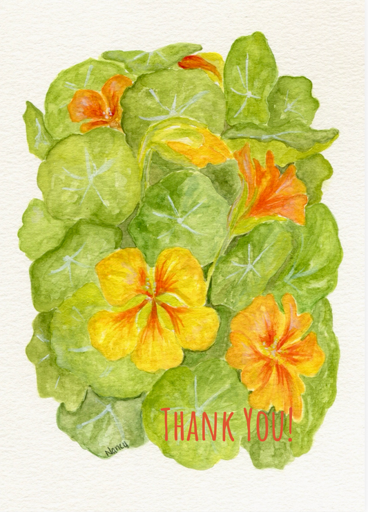 nasturtium thank you