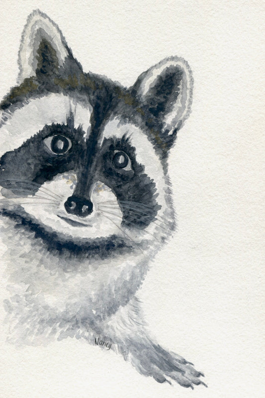 Hello, Raccoon