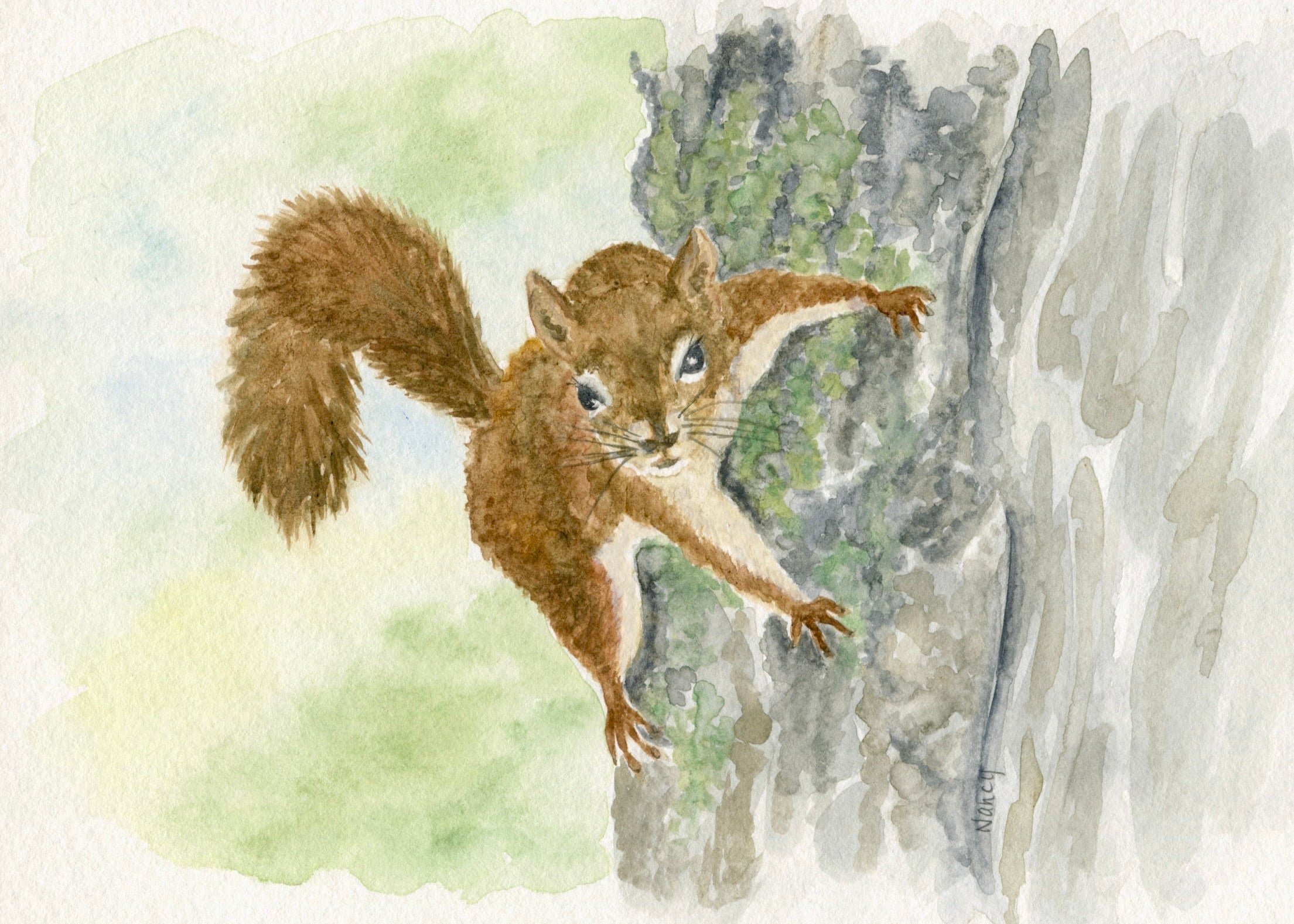 Red Squirrel – Rabbit Run Post