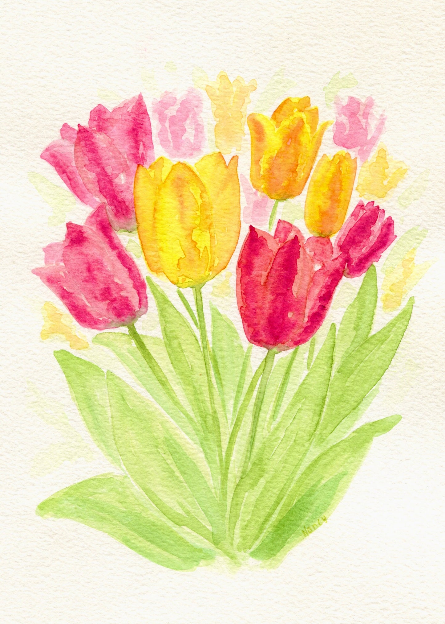 Tulips