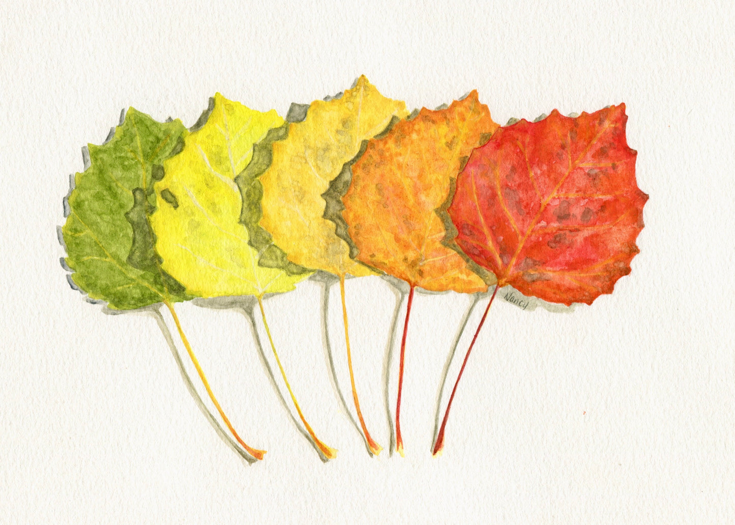 Autumn Colors