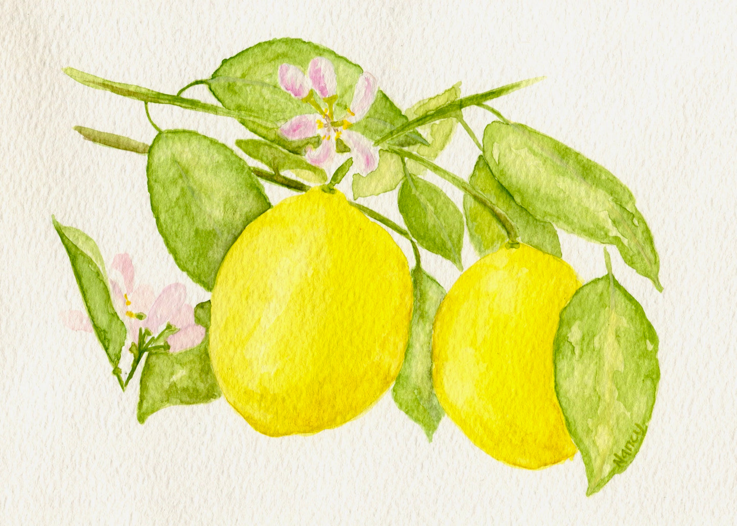 Lemons
