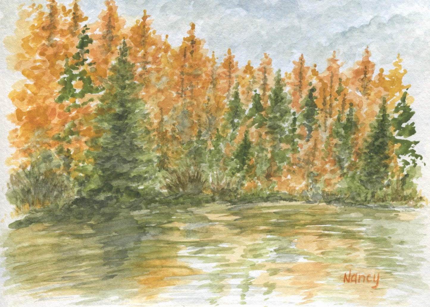 Tamaracks in Color