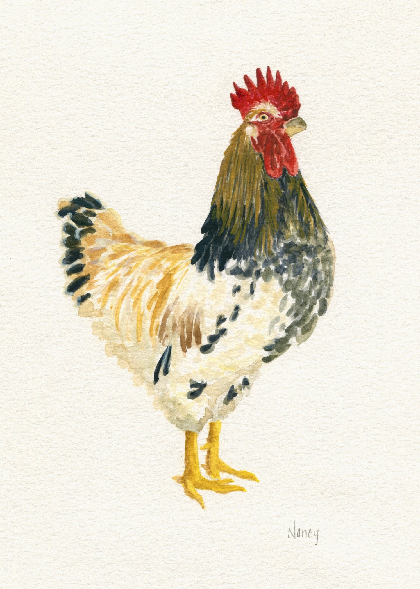 Rooster