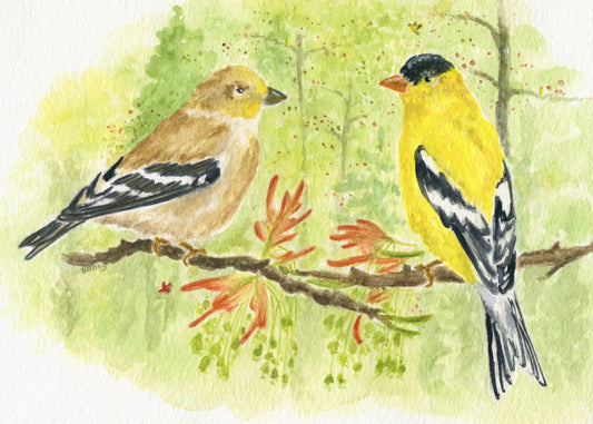 Goldfinches