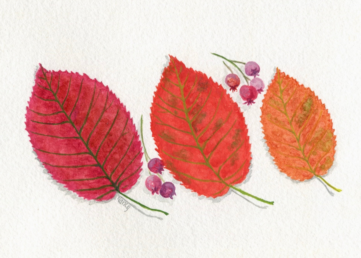 Juneberry