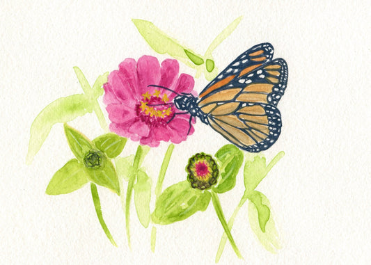 Monarch at Rest