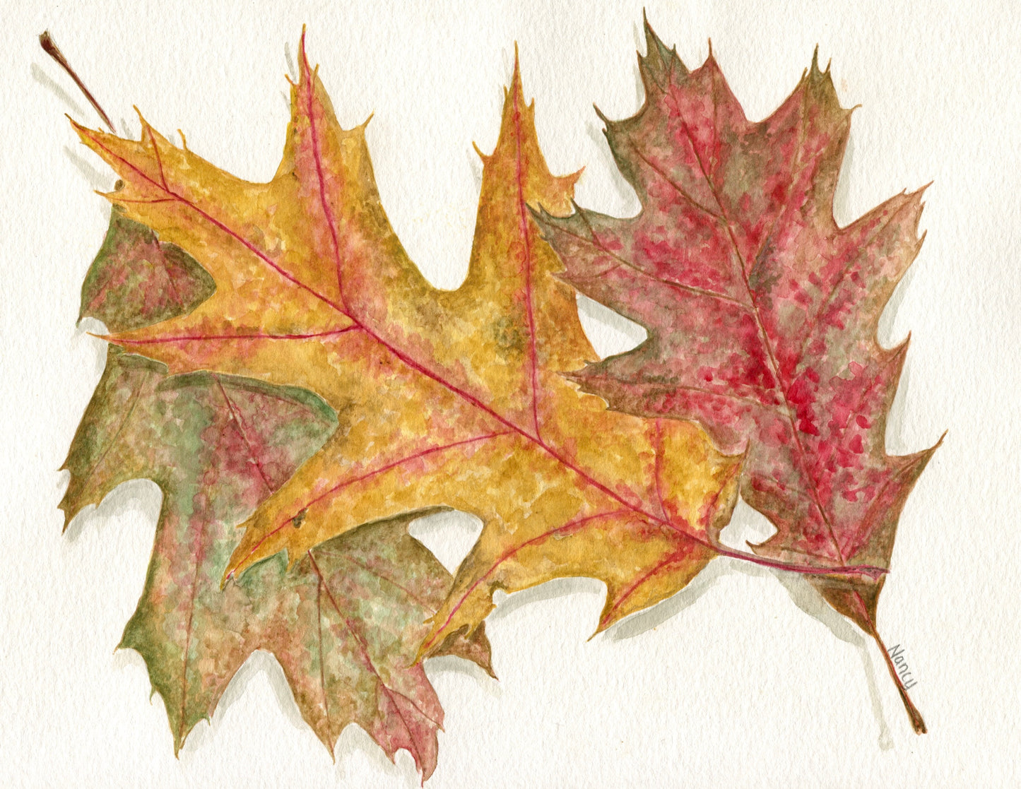 Three Oak Leaves