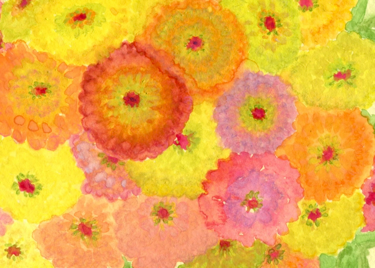Zinnias