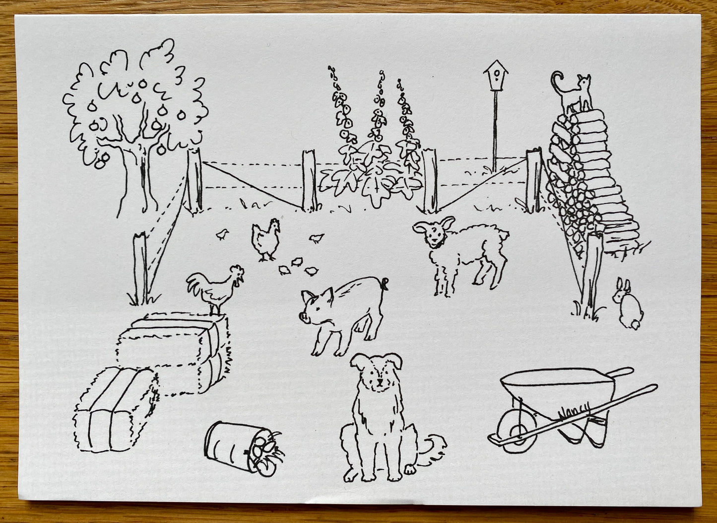 Color Me Party Invitation - Farm Friends x 4