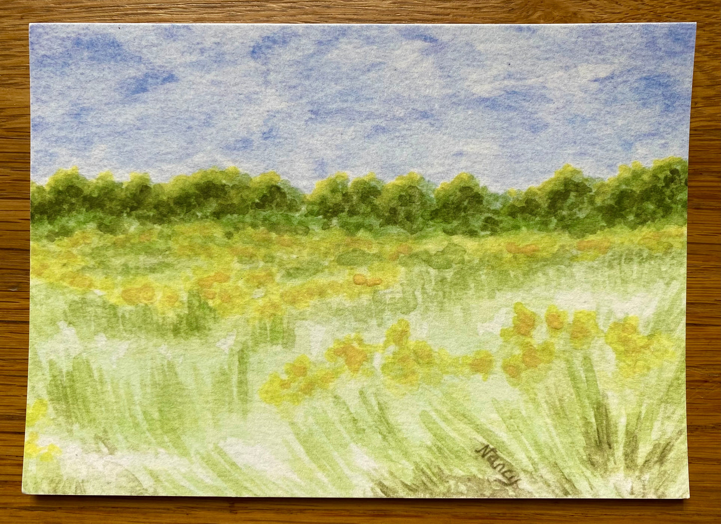 Summer Fields