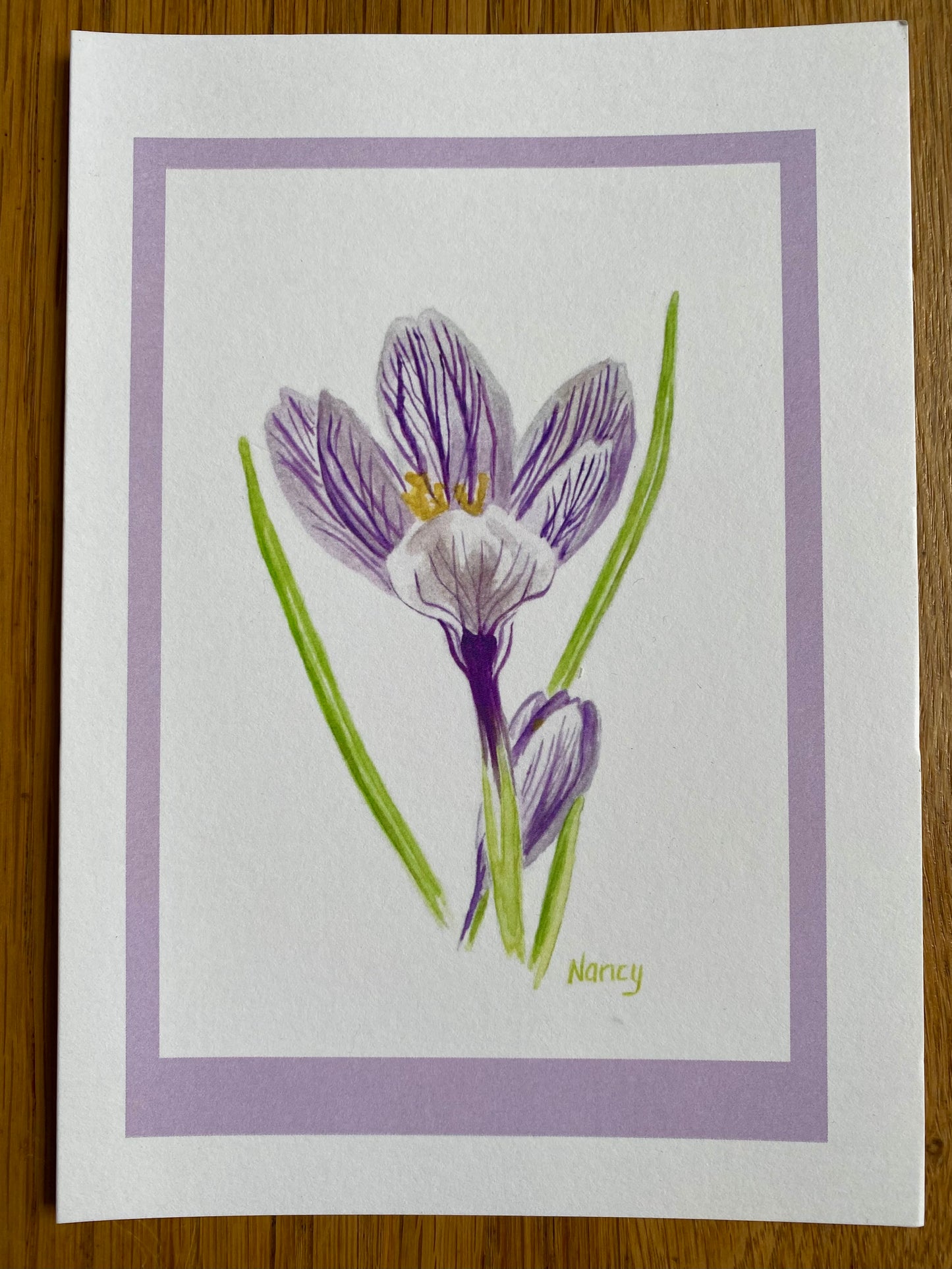 Pickwick Crocus