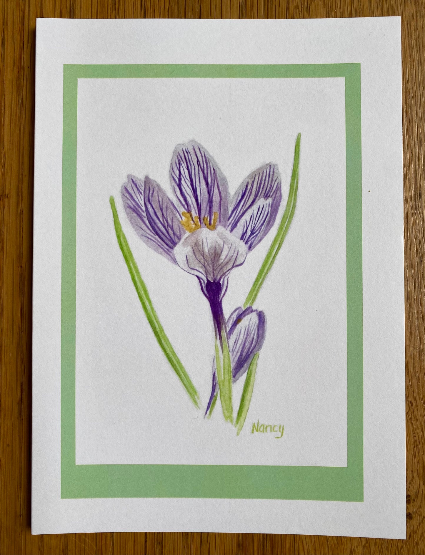 Pickwick Crocus