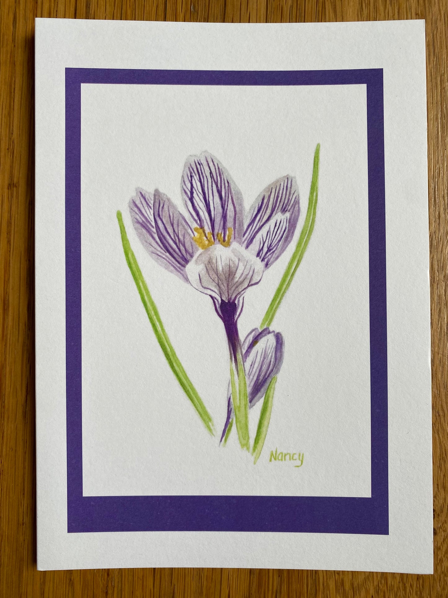 Pickwick Crocus