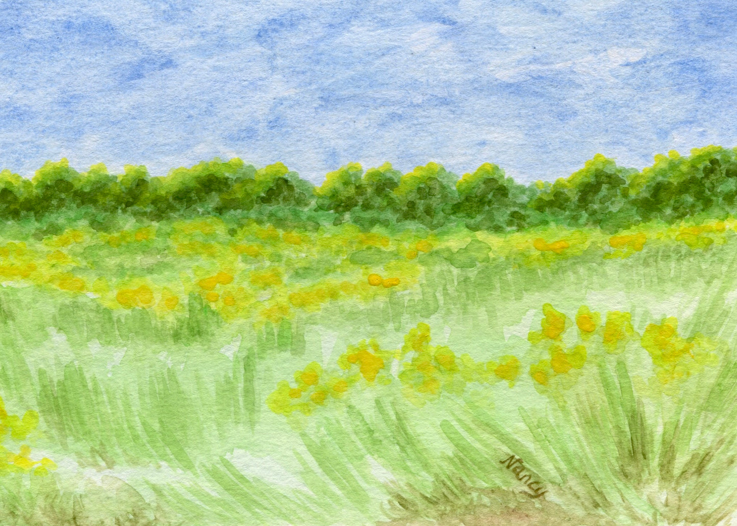 Summer Fields