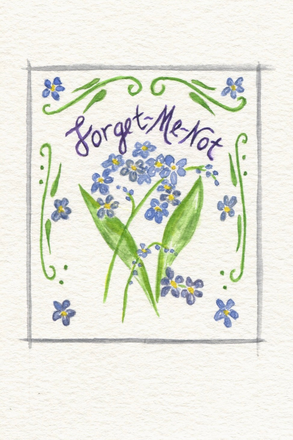 Forget Me Not Seed Packet